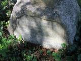 image of grave number 519050